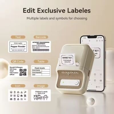 NIIMBOT B21 Bluetooth Thermal Label Printer for Home and Business